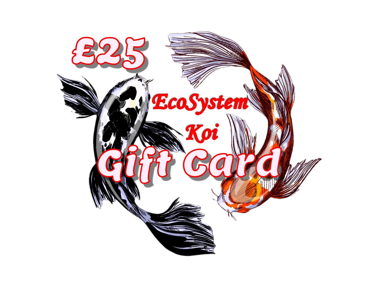 £25 Gift Card